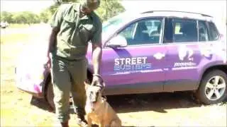 ATTACK DOG TRAINING - STOP RHINO POACHING!