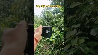 #journaling #dailydiary #ytshorts #longhair