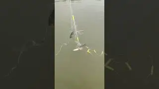 fishing net factory in China, good price,WhatsApp+8613823426744