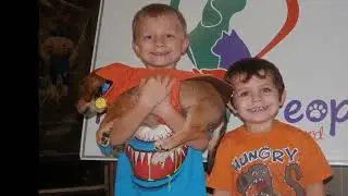 Austin Humane Society uses stuffed animals to teach kids about pet care