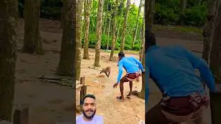 Top Funny Monkey🐒#funny #comedy #humor #prank #funnyclips #lifeisbutadream #monkey #automobile #car