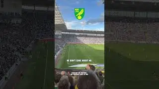 🐍 | #ncfc #itfc #marcelinonunez #norwichcity #footballchant #ipswichtown #efl #football #ccfc
