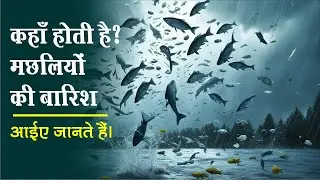 मछलियों की बारिश | Fish Rain | Amazing Rain #facts #amazingfacts #generalknowle