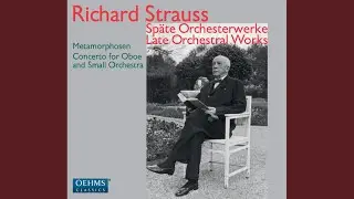 Oboe Concerto in D Major, TrV 292: I. Allegro moderato