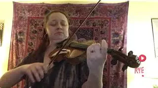 Lauren Jenkins: fRYEday Not Live