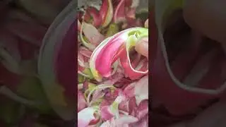 Agathi poo for healthy skin and hair #vsherbal #naturalskincare