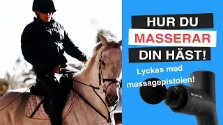 Rätt MASSAGE för din HÄST! Teknik för HÄSTMASSAGE med Massagepistol!