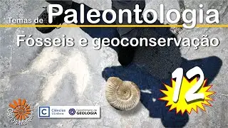 Temas de Paleontologia: 12. Paleodiversidade e geoconservação.