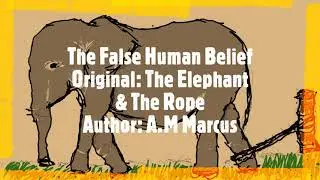 Short story | The False Human Belief
