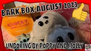 BARK BOX AUGUST 2023 REVEAL/UNBOXING REVIEW