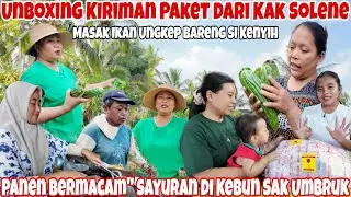 PANEN RANTI ,NANAS JUMBO DLL‼️TIBA