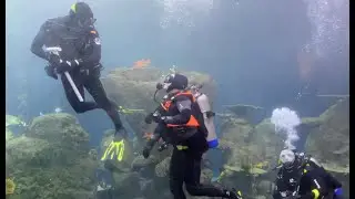 West Metro Fire Rescue: Dive Team at Denver Downtown Aquarium