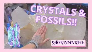 NJ Mineral, Fossil, Gem & Jewelry Show 2022