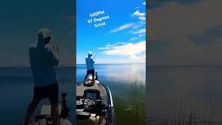 #lakeokeechobee summertime grind