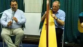 Frolicking Pete and the Fumbling Fingers Ceilidh Band: harp
