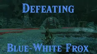 Defeating Blue White Frox