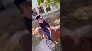 Hasbulla with animals