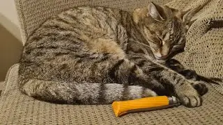 Opinel #8 Mod#2 -Forced Patina