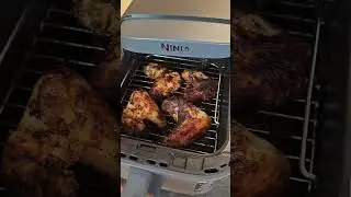 Ninja Double Stack XL Air Fryer Hei&szlig;luftfritteuse - chicken wings & french fries