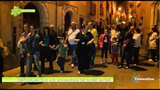 Isernia   Sant'Antonio di P  e la processione dei cavalli bardati   03   2178