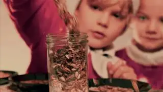 EntoCube Joulu - Purkita &Auml;&auml;nesi