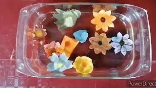 Stagno con fiori colorati che si aprono: esperimento fantastico da fare a casa! 🏡 #DOPOSCUOLA