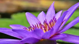 Cosmic Awareness: Meditation for Challenging Times