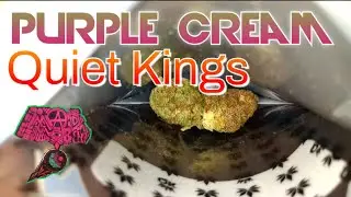 Purple Cream Quiet Kings Cookies California Dispensary Medical Strain Review