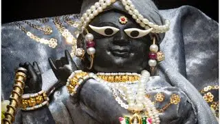 Amar nirmal Vlogs is #live #varil #video #gems #subscriber #youtube