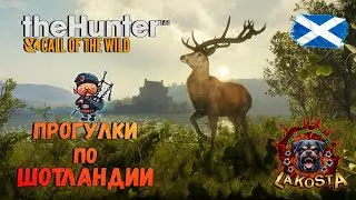 ⭐ НОВЫЙ ЗАКАЗНИК ⭐ TheHunter Call of the Wild ⭐ &laquo;Тор-нан-Шиан&raquo; ⭐