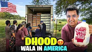 Finally Found a DHOOD WALA in America 🇺🇸😍 | Dhood Patti Chai Bana Di ☕