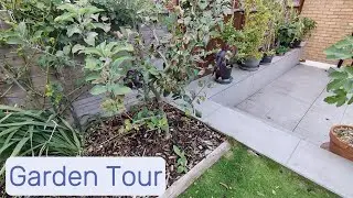 Garden Tour including American Paw Paw (Asimina Triloba) trees