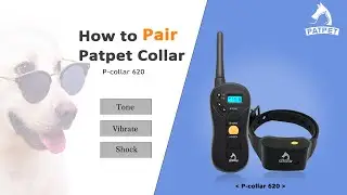 Pair the Dog Training Collar | Patpet 620A
