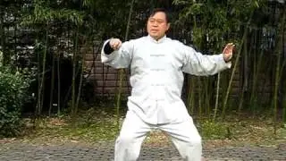 Master Ma Baoguo Hunyuan Xingyi Taiji 8 Form.