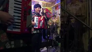 のっぺら “そういえば深海魚” 2025/12/26 ＠阿佐ヶ谷 mogumogu 『Before Broken Dreams』