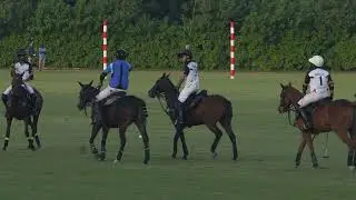 JINDAL ESTATE CUP | JINDAL PANTHER POLO TEAM vs DELTA FOUNDATION POLO