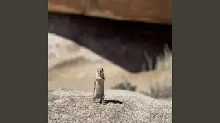 Time Stand Still