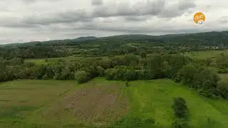 Sagradiću šajka