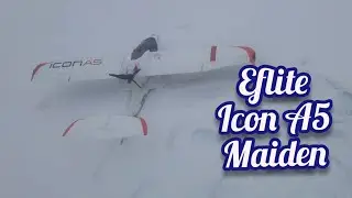 Первый полет самолета Eflite Icon A5