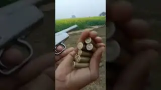 #315#desi katta desi pistol full badmashi status😈😈