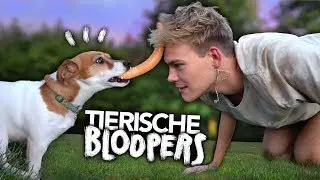 DIE TIERISCHSTEN BLOOPERS | Joey's Jungle