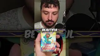 Enchanted in a pack!