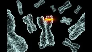 The cell cycle | part 1 | Campbell biology | شرح بالعربي