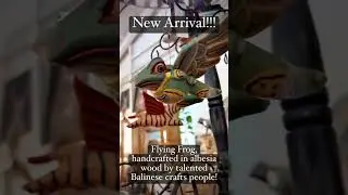 Flying Wooden Frog! 🐸 #frog #frogs #frogfun