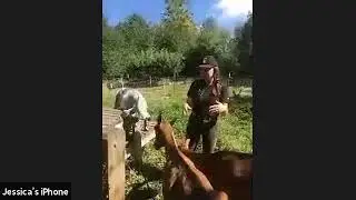 LIVE Farm Walk: August 2020