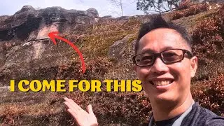 Journey Through Phu Hin Rong Kla: Thailand's Best-Kept Secret