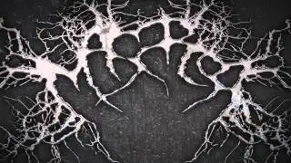 Shreddage 2 | MASSRCOR | FL Studio 10 - Bass