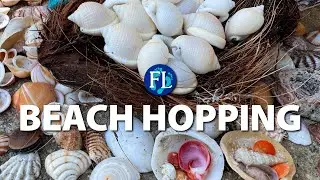 Early Morning #Shelling 🐚 on Jupiter Island