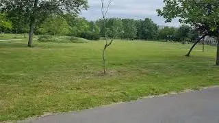 The legend of Ceaușescu