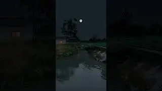 Serenity of Village Night, Nature Sounds, Night Sounds,#shorts